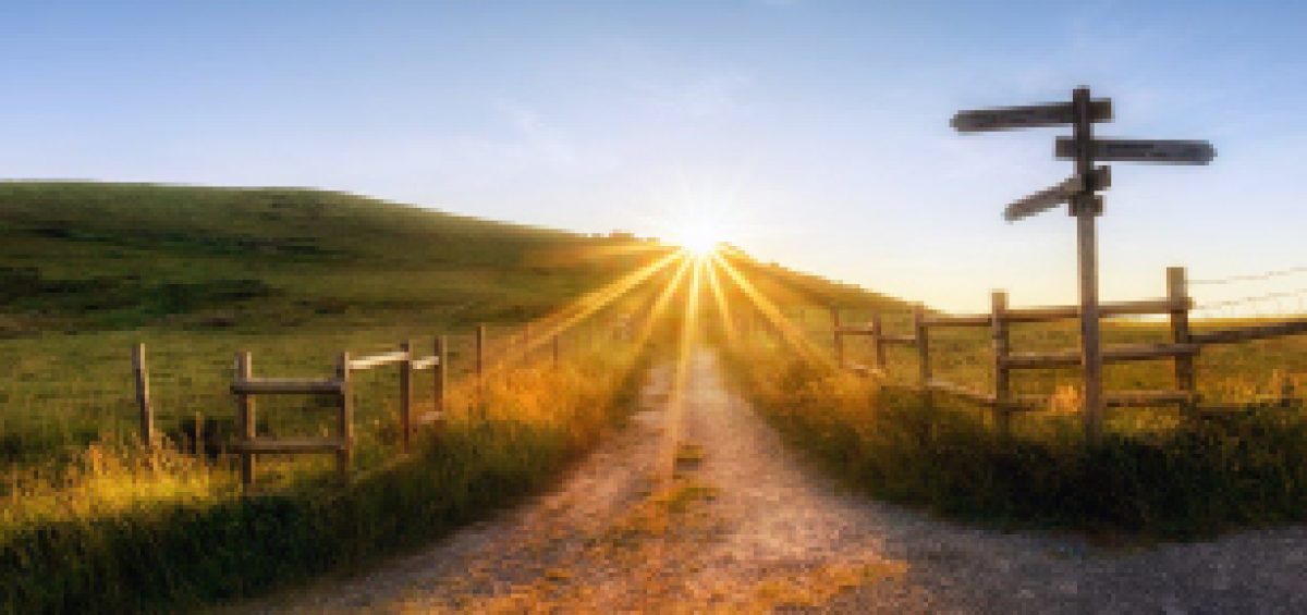 Caminho iluminado pelo nascer do sol com placas de direção, simbolizando o Transfer Pricing como ferramenta inteligente para orientar decisões estratégicas e reduzir custos empresariais