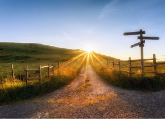 Caminho iluminado pelo nascer do sol com placas de direção, simbolizando o Transfer Pricing como ferramenta inteligente para orientar decisões estratégicas e reduzir custos empresariais