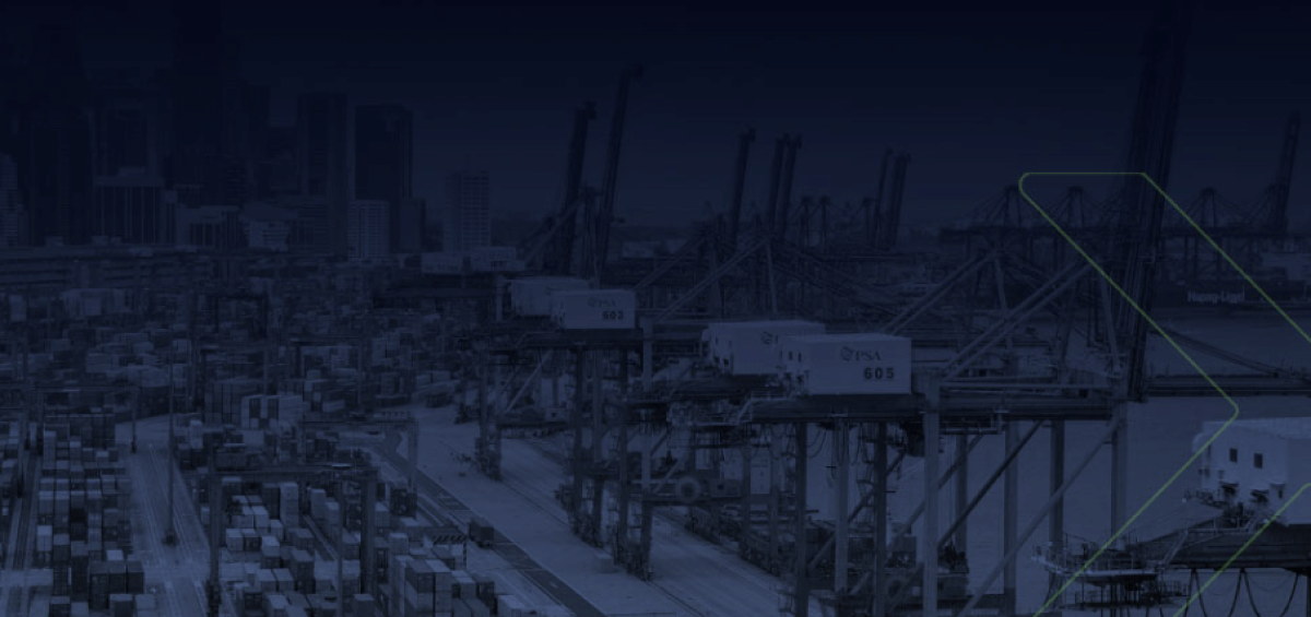 Vista panorâmica de terminal portuário com guindastes e contêineres, ilustrando o impacto do AFRMM na competitividade do comércio exterior brasileiro