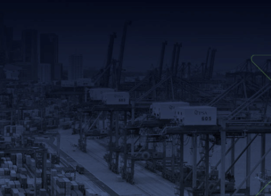Vista panorâmica de terminal portuário com guindastes e contêineres, ilustrando o impacto do AFRMM na competitividade do comércio exterior brasileiro